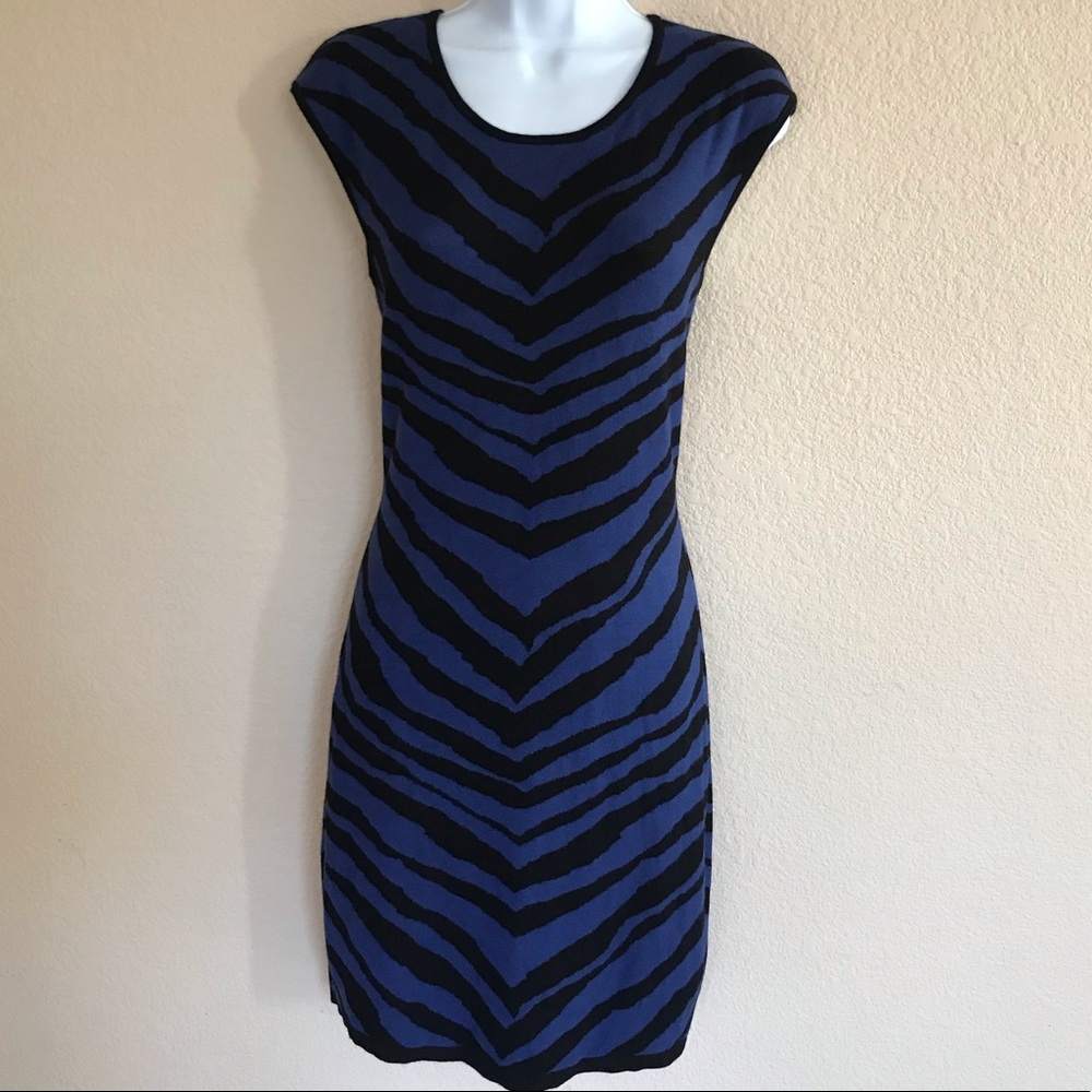Express stretch sweater dress